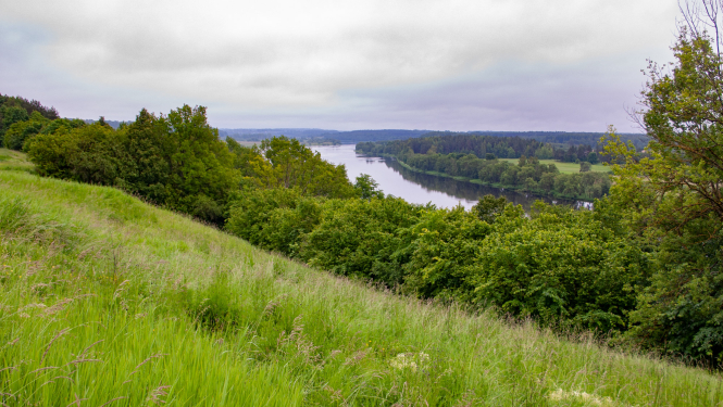 Vairāk nekā 40 dabas teritorijās atjaunos 20 aizsargājamos biotopus un vairāku sugu dzīvotnes