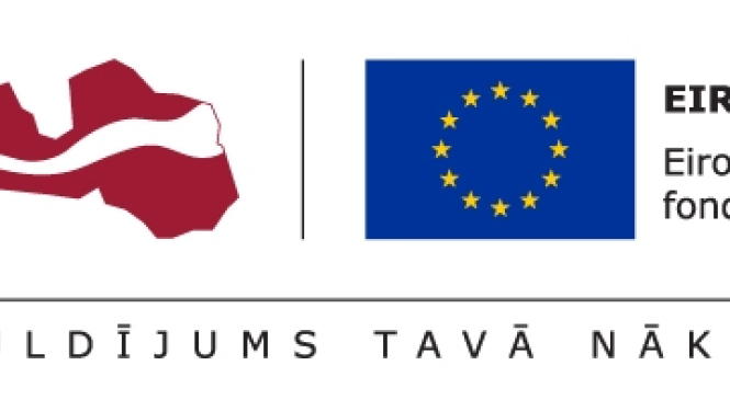 Nodarbināto personu profesionālās kompetences pilnveide