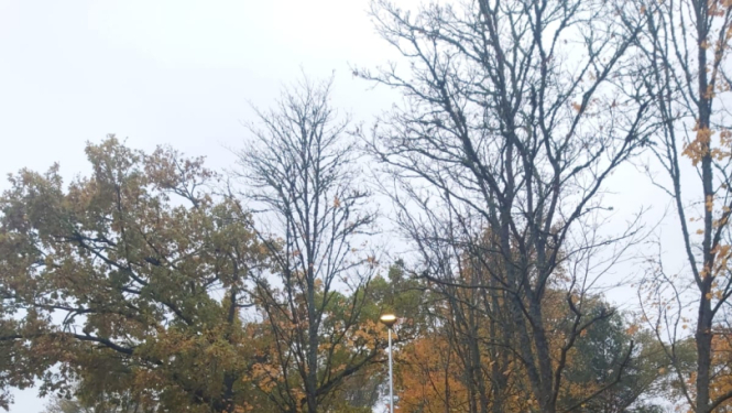 Engures stāvlaukums