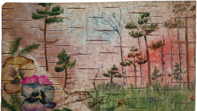 Iekļaušanai UNESCO starptautiskajā reģistrā gatavo projektu „Sibīrijā rakstītās vēstules uz bērza tāss”