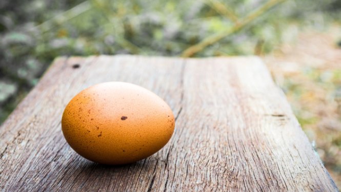 Tukuma novada Domes priekšsēdētājs Ēriks Lukmans skaidro situāciju ar SIA “Gallusman”
