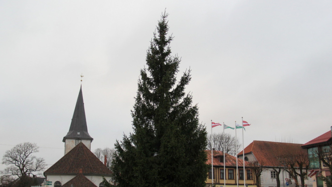Brīvības laukumā uzstādīta lielā svētku egle