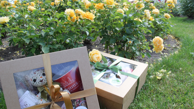 Apbalvo konkursa "Tukuma smukums 2015" dalībniekus