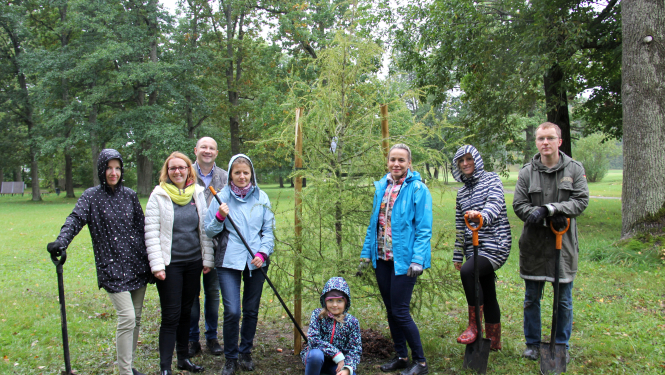 Tukuma novada pašvaldība turpina tradīciju padarīt Latviju krāšņāku ar koku stādījumiem