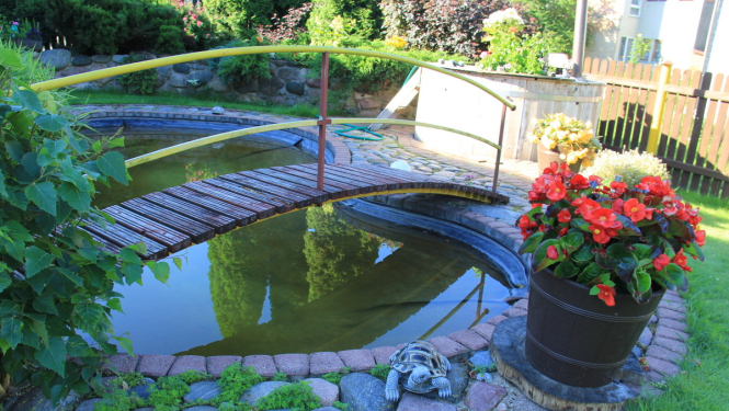 Sakoptākie īpašumi Tukumā