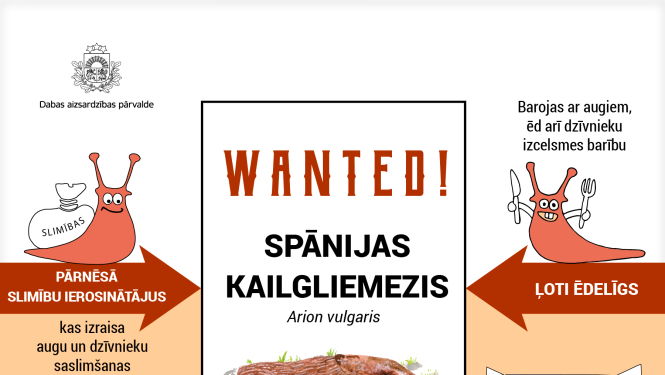 Par Spānijas kailgliemeža izplatības ierobežošanu