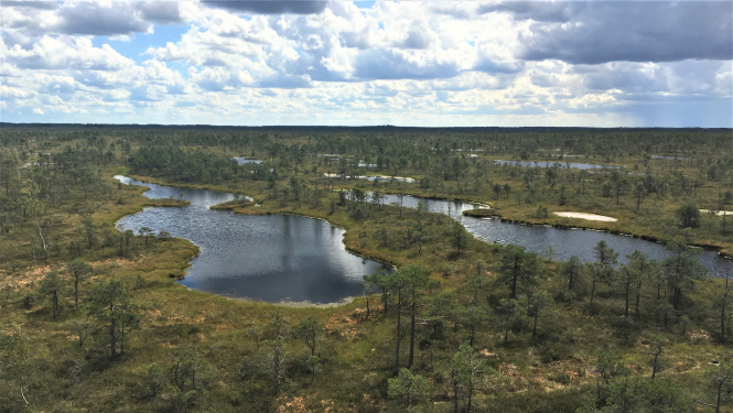 Par Ķemeru Nacionālā parka dabas aizsardzības plāna izstrādes uzsākšanu