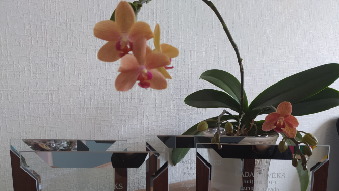 Gada cilvēks kultūrā Tukumā novadā 2019 - Dita Silava