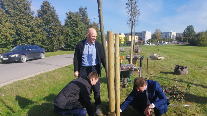 Tukumā, Pasaules talkas ietvaros, iestādīti jauni Laimes koki