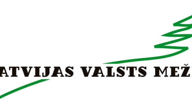AS ʺLatvijas valsts mežiʺ izsludina atklātu konkursu meža stādīšanas, kopšanas un aizsardzības darbiem
