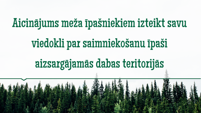 Aicinājums meža īpašniekiem izteikt savu viedokli