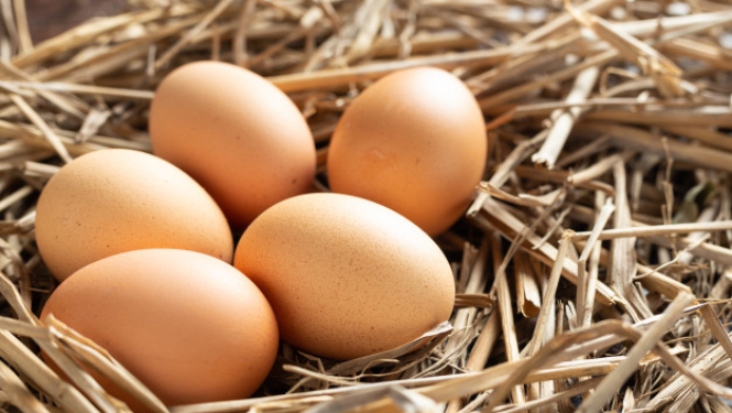 Par nodomu vienošanos ar SIA “Gallusman”