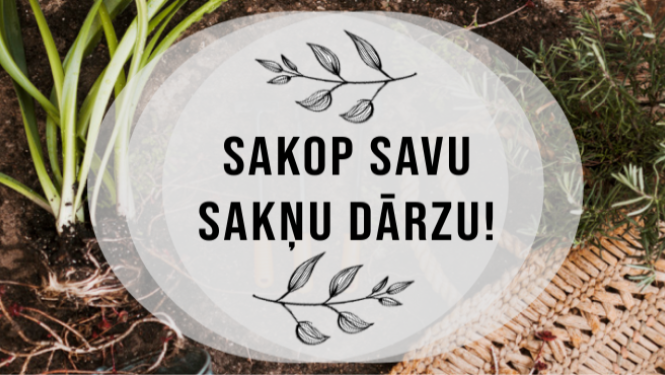 Cienījamie sakņu dārzu lietotāji!