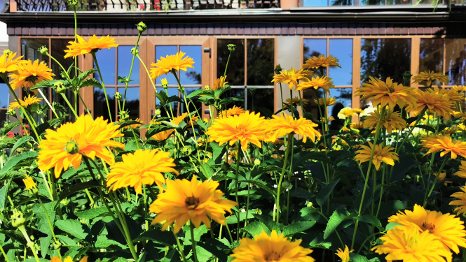 Tukuma smukuma 2020 seminārs atcelts