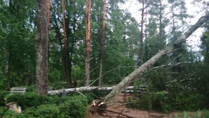Tukuma un kaimiņu novados tiek apkopoti bojājumi pēc vētras