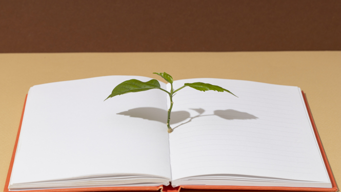 Grāmata un augs