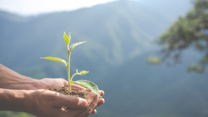 Ilustratīvs attēls