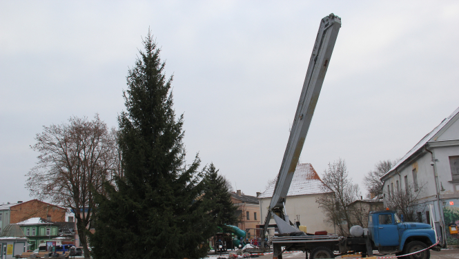 Brīvības laukumā uzstādīta svētku egle