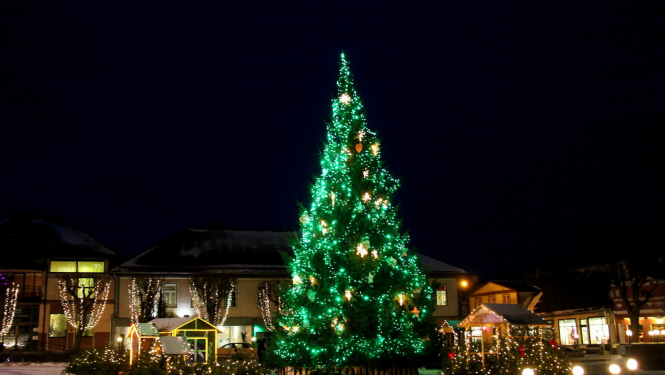 Aicinām izgaismot namus un pagalmus!