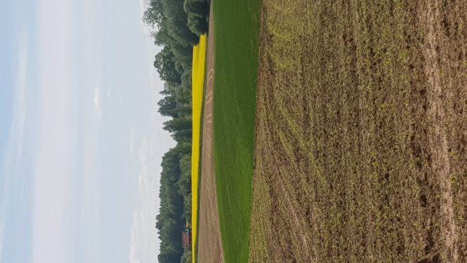 Tukuma novadā tiks veikta kūdraugsnes izplatības precizēšana