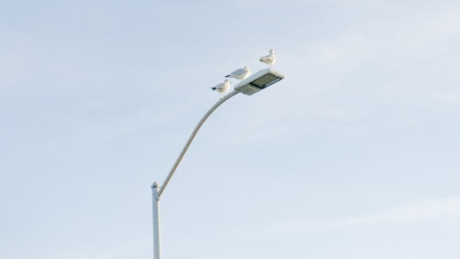 Ielas apgaismojuma laterna ar putniem