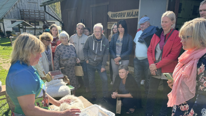 Dalībnieki apskata Angoras trušu vilnu