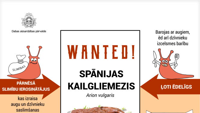 Par Spānijas kailgliemeža izplatības ierobežošanu