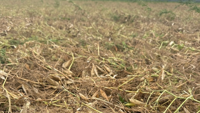 Ilustratīvs attēls