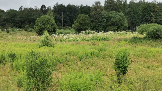 Ilustratīvs attēls