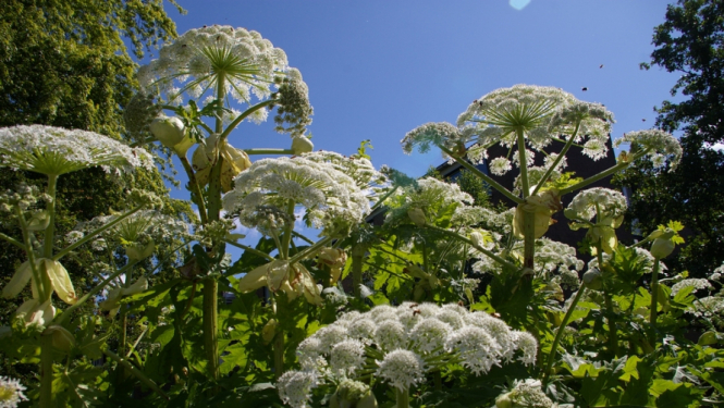 Ilustratīvs attēls