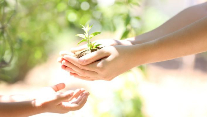 Ilustratīvs attēls