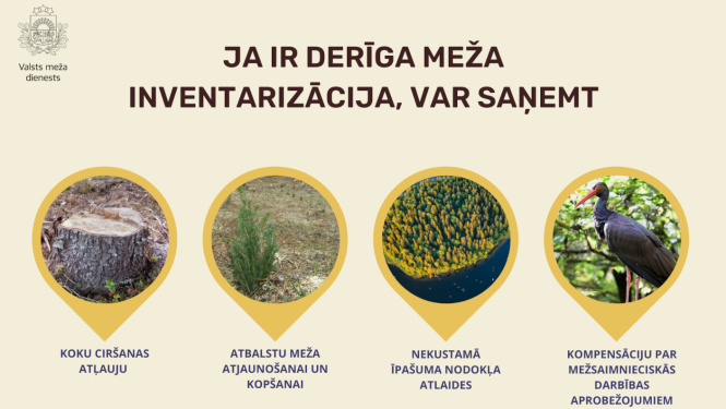 Meža inventerizācija