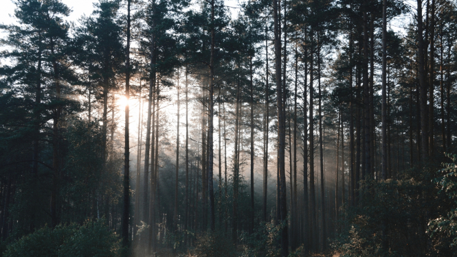 Ilustratīvs attēls