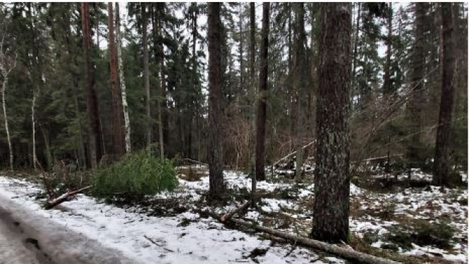 Ilustratīvs attēls