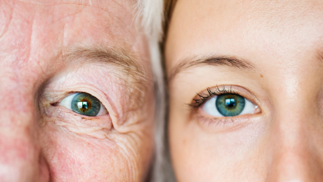 2 sieviešu pus sejas - viena gados jauna, otra kundze cienījamā vecumā