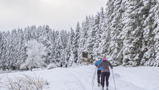 Ilustratīvs attēls