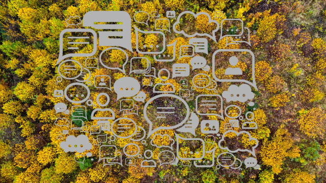 Viedokļu burbuļi uz rudenīgi krāsainu koku fona ar skatu no augšas