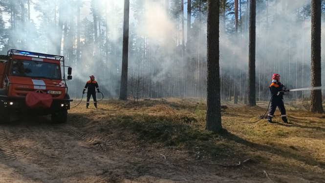 Ugunsdzēsēji mežā