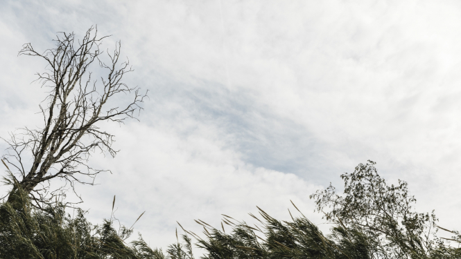 Ilustratīvs attēls