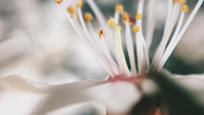 Ilustratīvs attēls