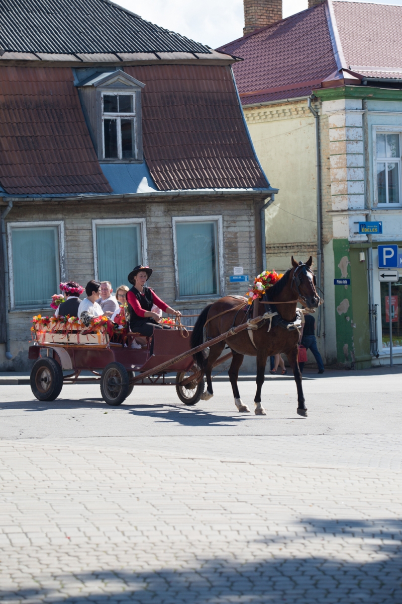 Pirmās rozes ievīšana Rožu vainagā