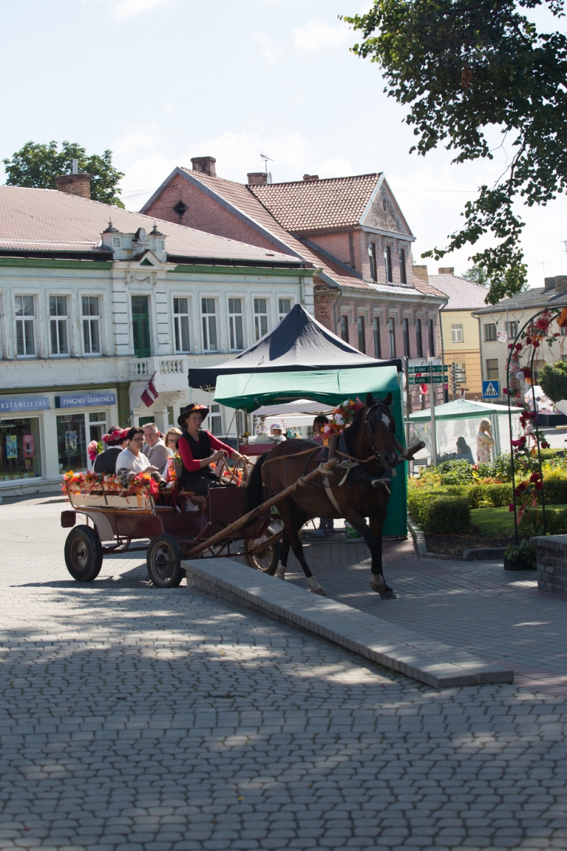 Pirmās rozes ievīšana Rožu vainagā