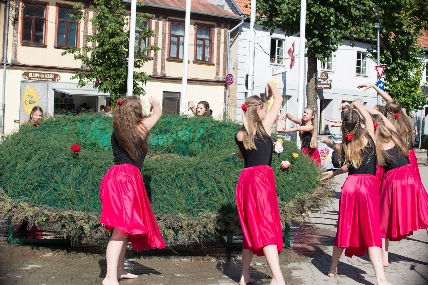 Pirmās rozes ievīšana Rožu vainagā