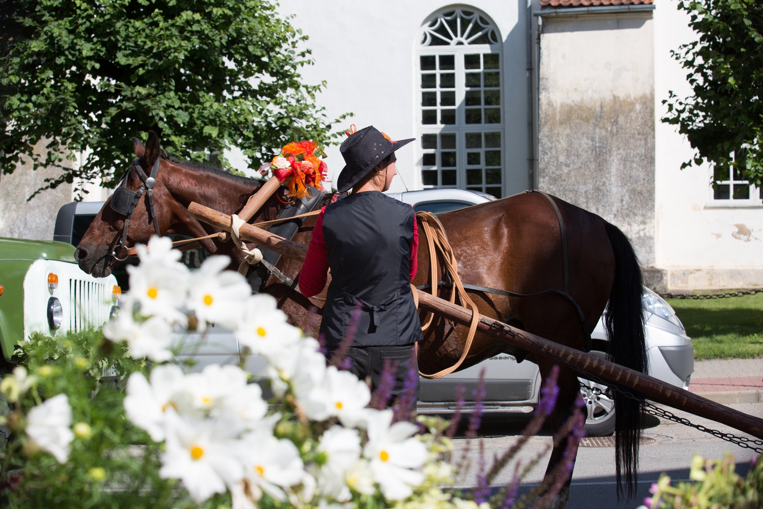 Pirmās rozes ievīšana Rožu vainagā