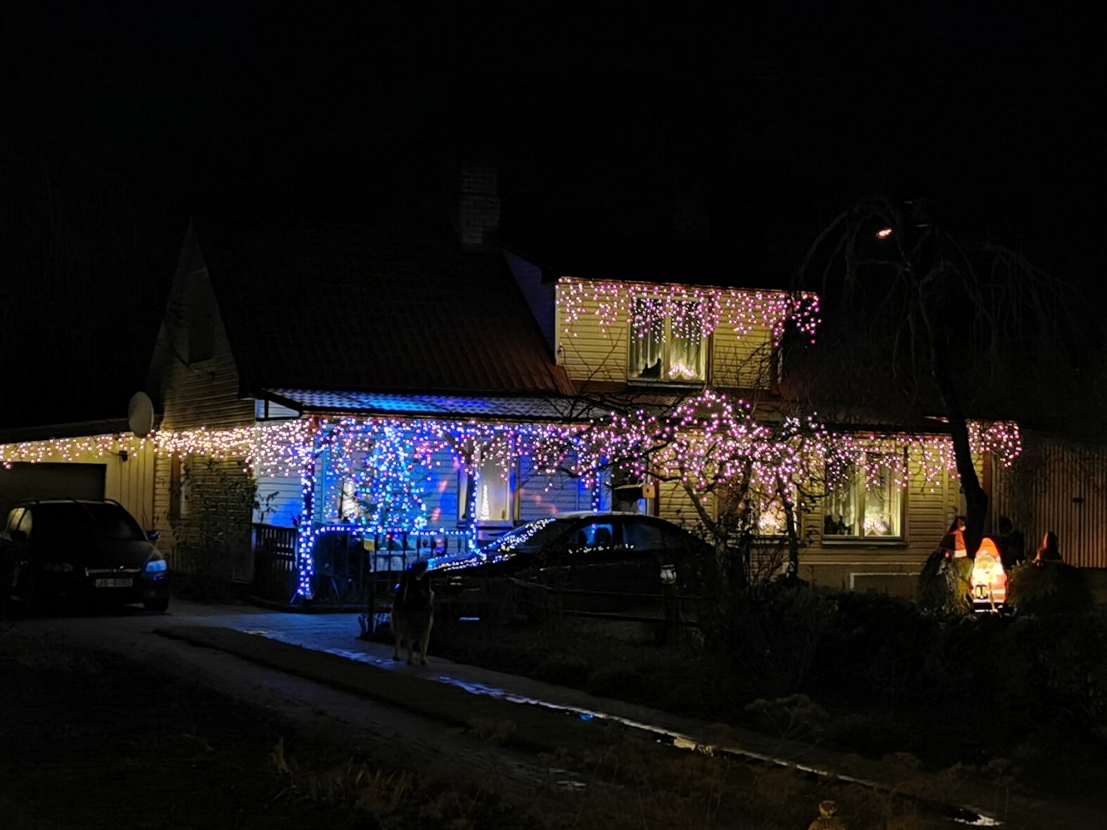 Ziemassvētku Smukums 2019