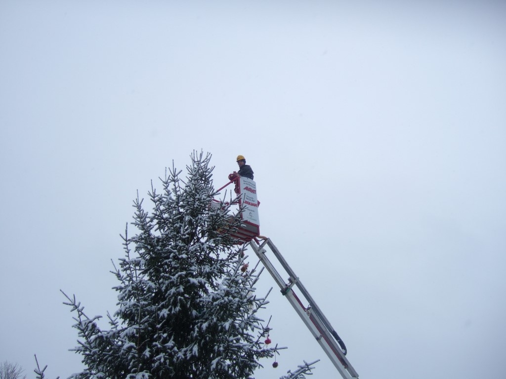 Eņģeļu ekspresis Tukumā un Katrīnas laukuma egles rot