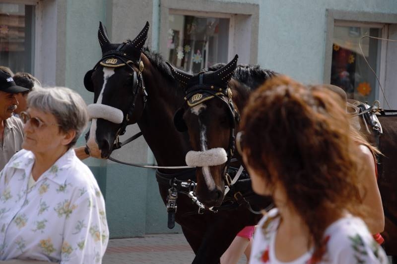 Rožu svētku 2018 sestdiena - bilžu kaleidoskops