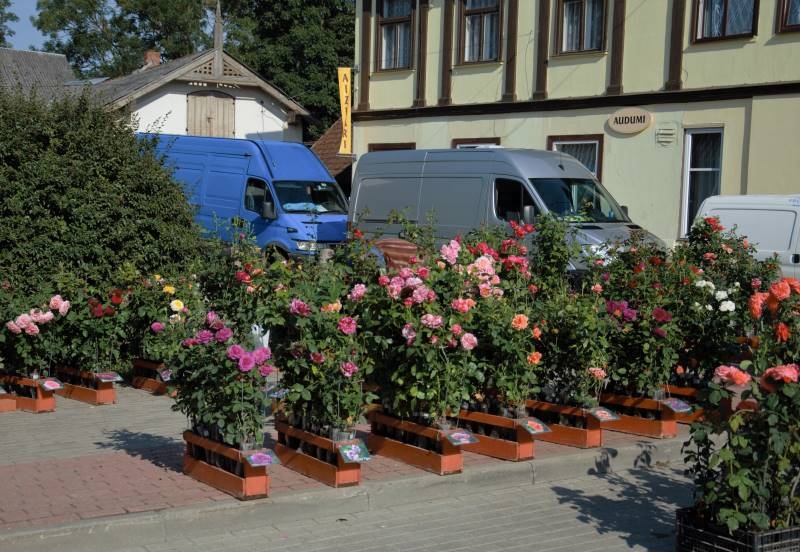 Rožu svētku 2018 sestdiena - bilžu kaleidoskops