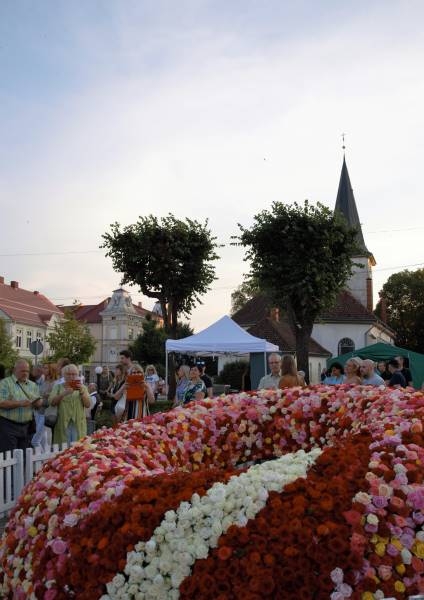 Rožu svētku 2018 sestdiena - bilžu kaleidoskops