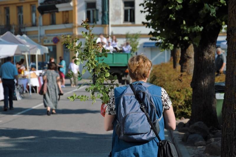 Rožu svētku 2018 sestdiena - bilžu kaleidoskops